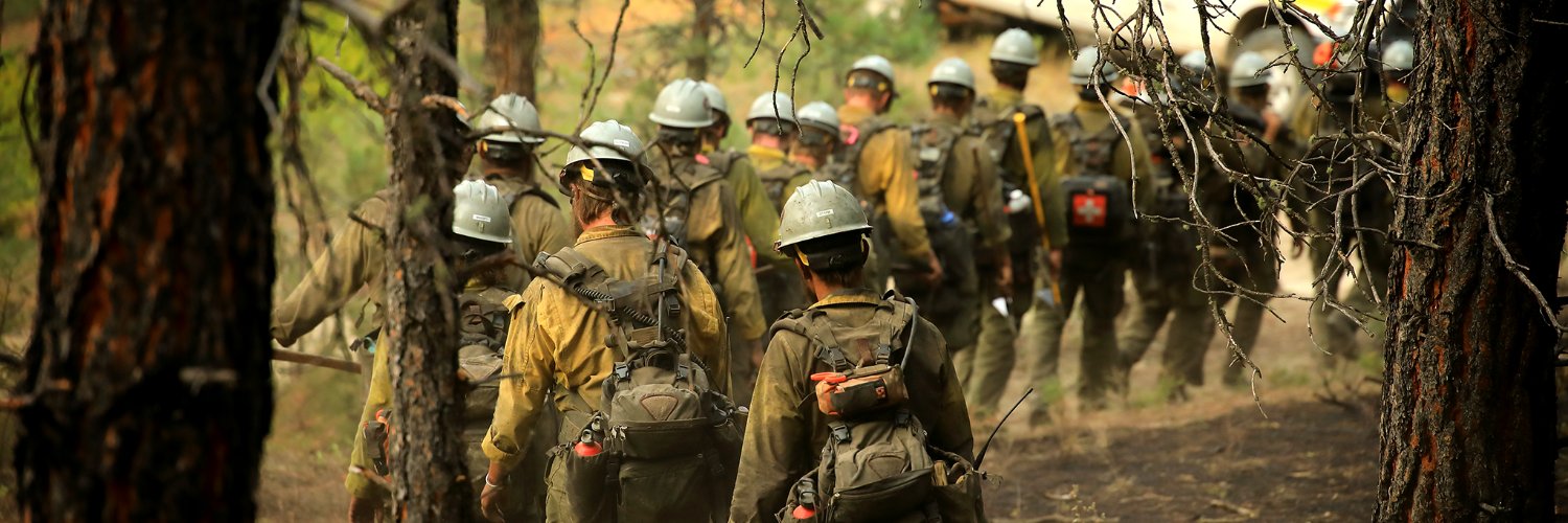 U.S. Wildland Fire Service's banner