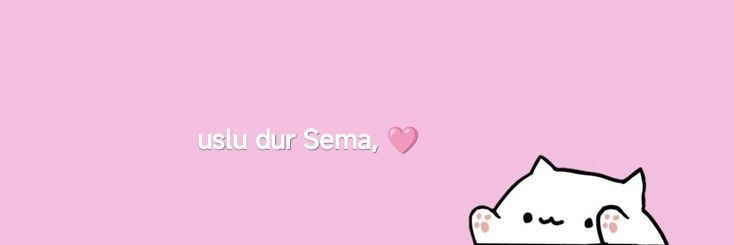 Sema's banner