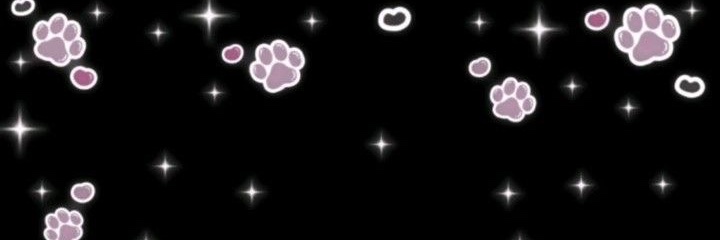 Vixlsolos 🏳️‍⚧️🏳️‍🌈's banner