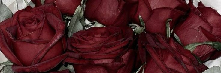 Bet⭒'s banner