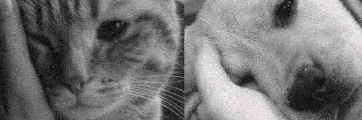 Anmarnar Romahar's banner