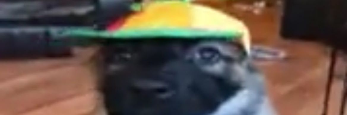 chrissypissy's banner