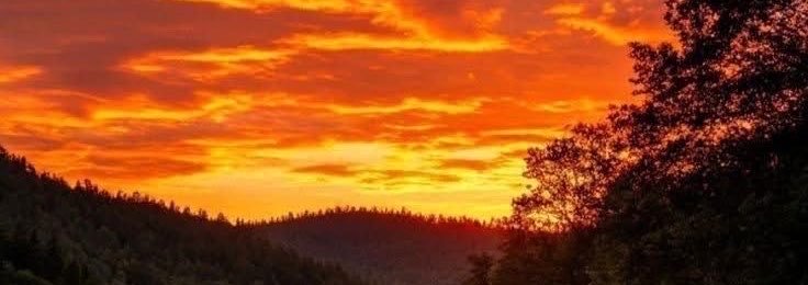 Nature’s Voice's banner