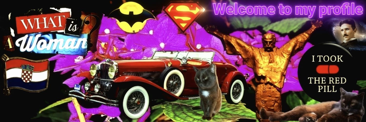 𝕭𝖔ž𝖔 𝕽𝖆yz𝖑𝖑e𝖗 K𝖗𝖆š ✞'s banner