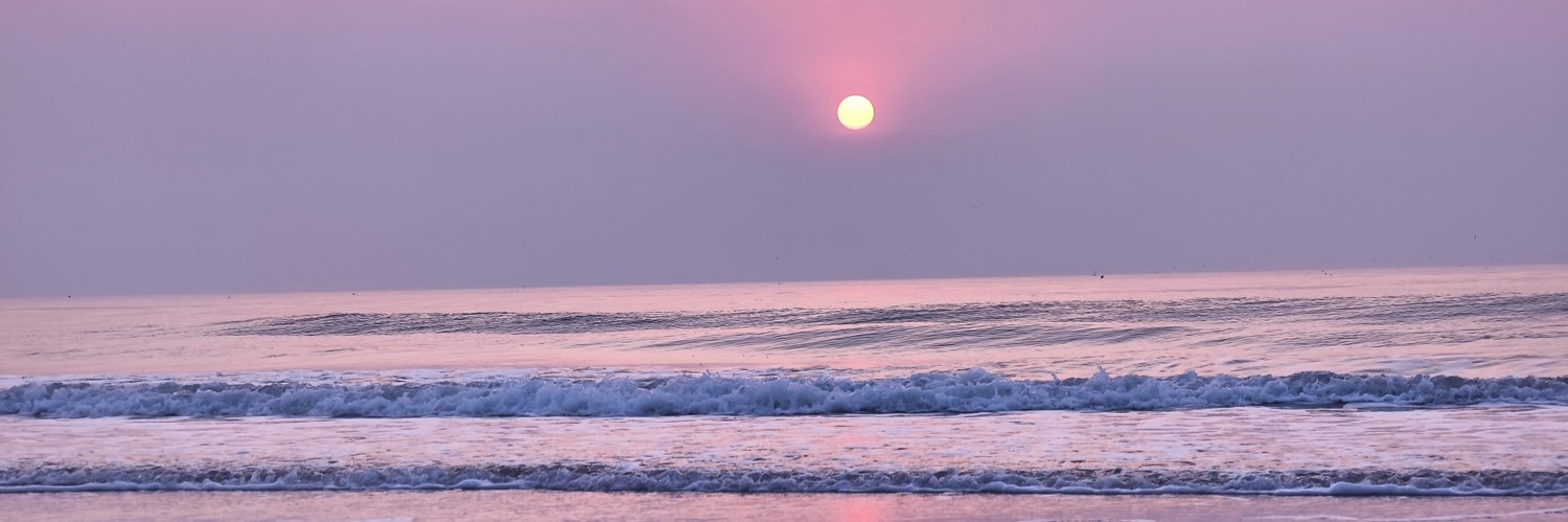 Alynnex（北京ql）'s banner