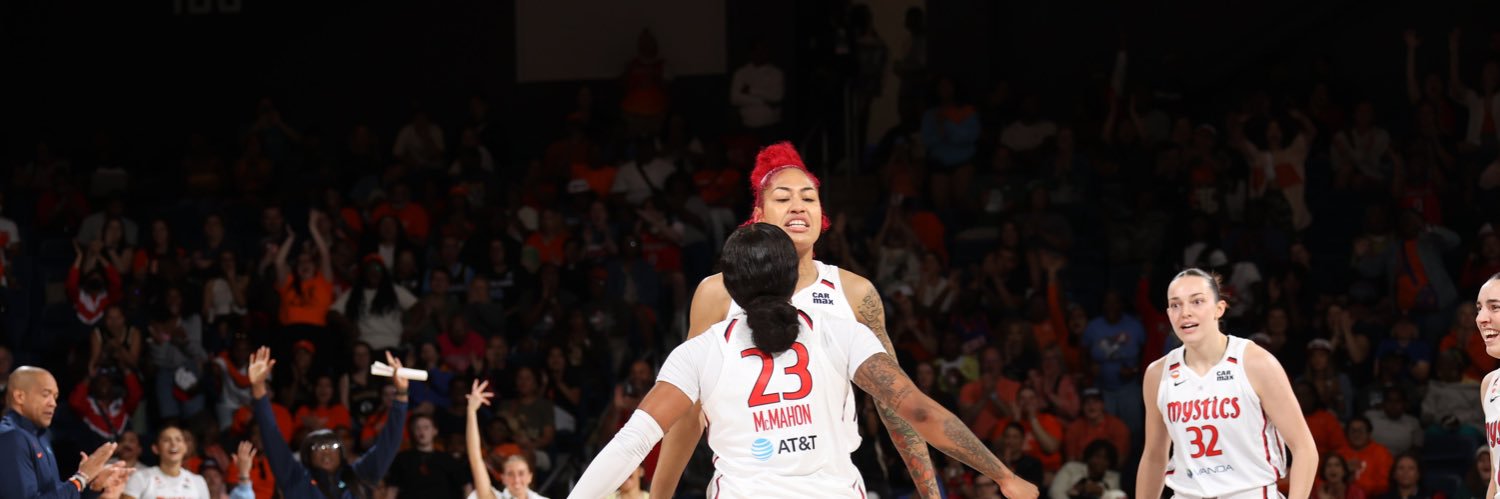 Washington Mystics's banner