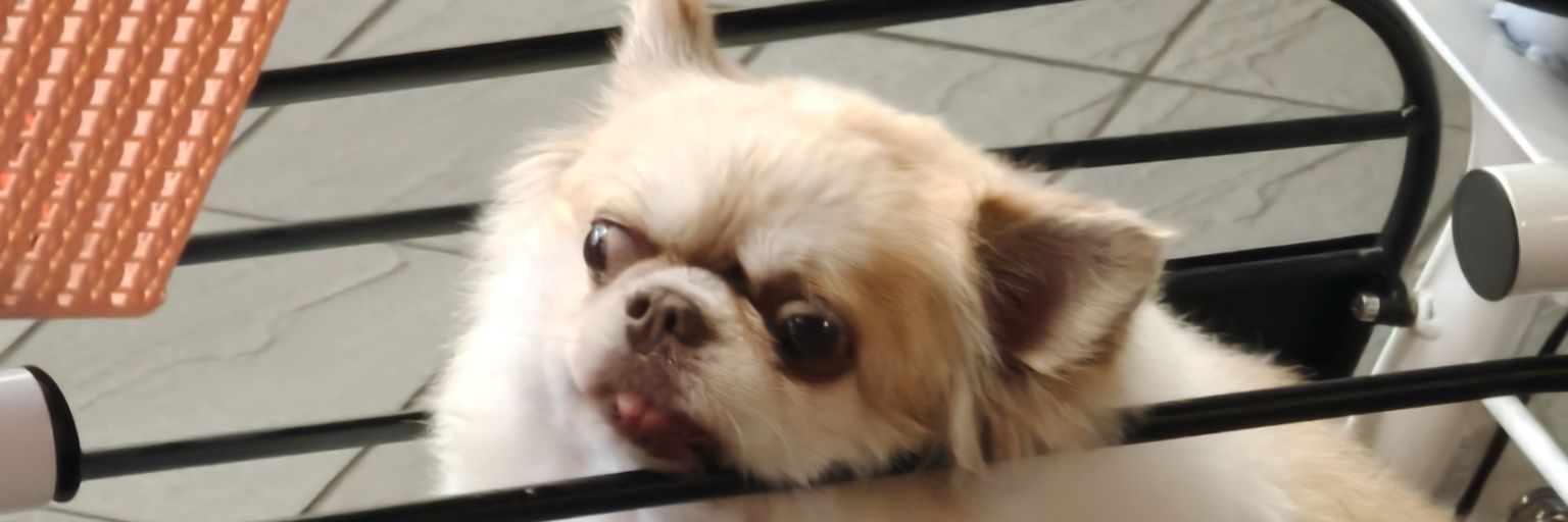Jjuiop's banner