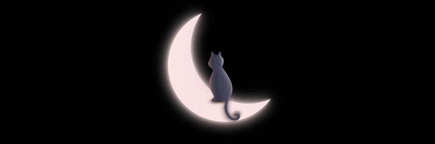 Zeynep Çağış's banner