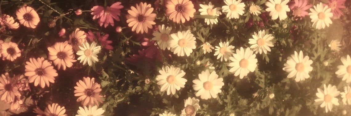 a⋆˚ʚɞ's banner
