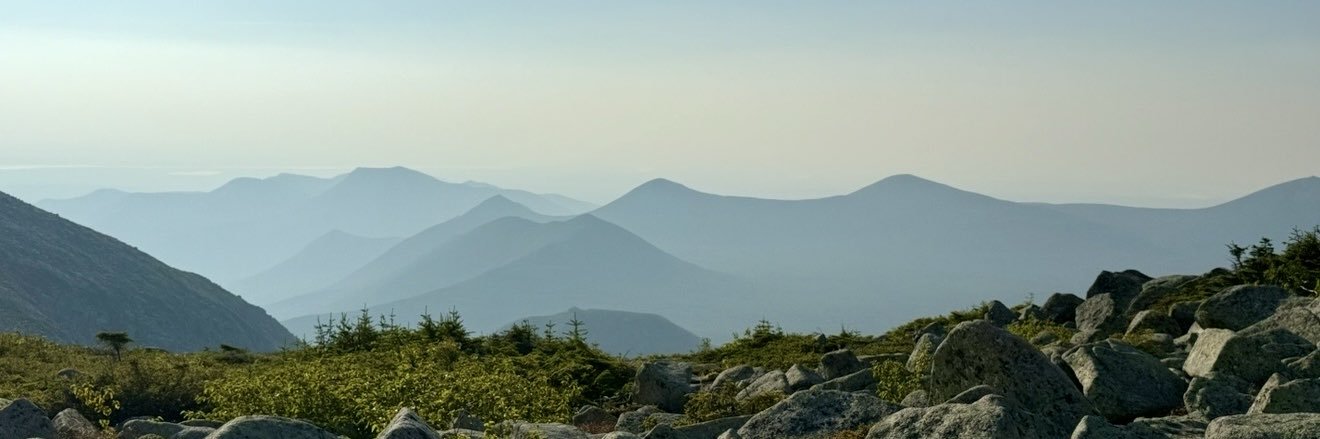 Genevieve McDonald's banner