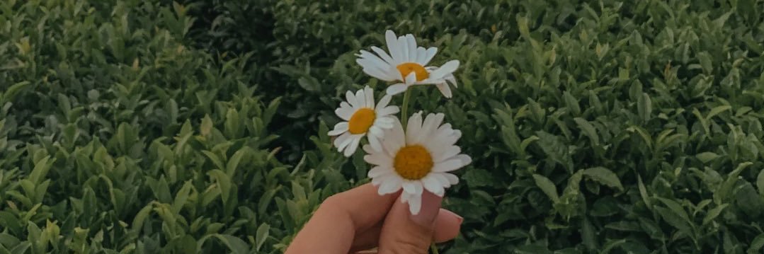 justlikegracie's banner