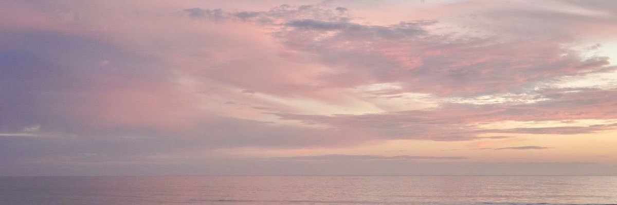 ❀'s banner