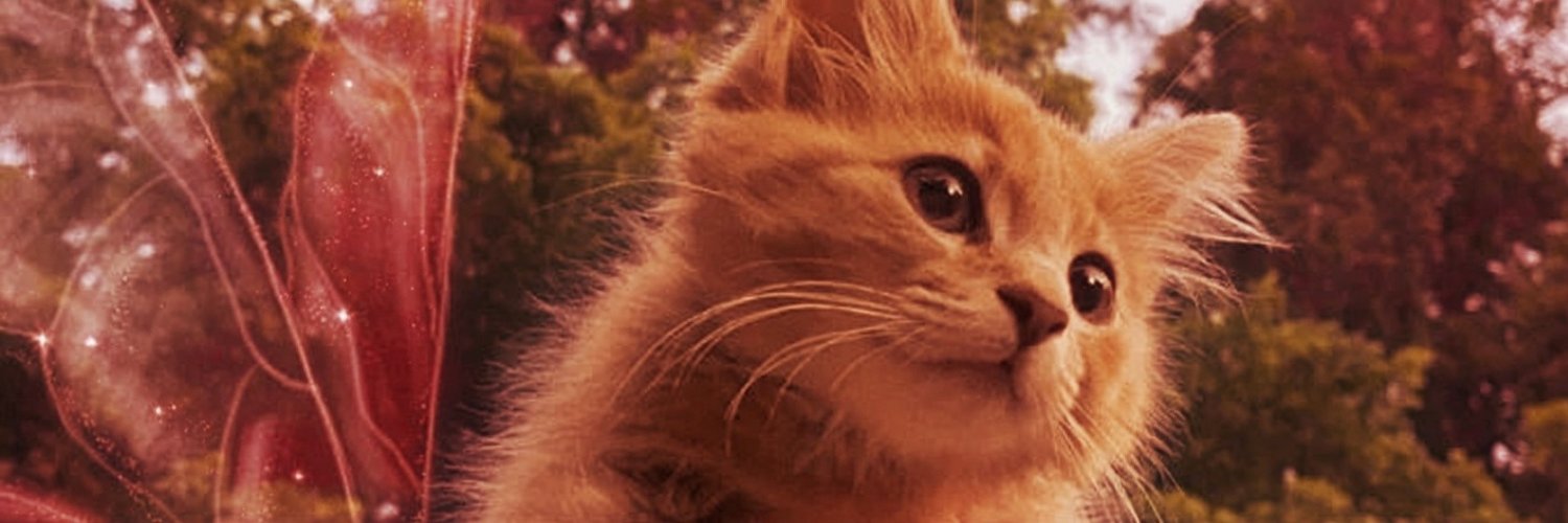 Memer X's banner