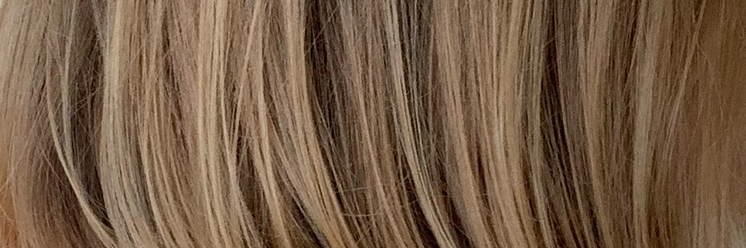Boywife's banner