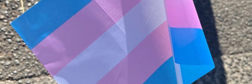janna🏳️‍⚧️'s banner