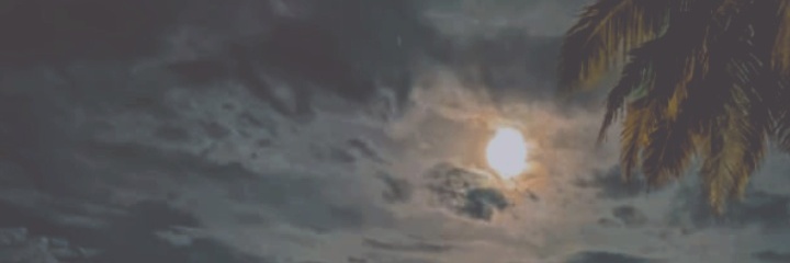 Virlylestarina's banner