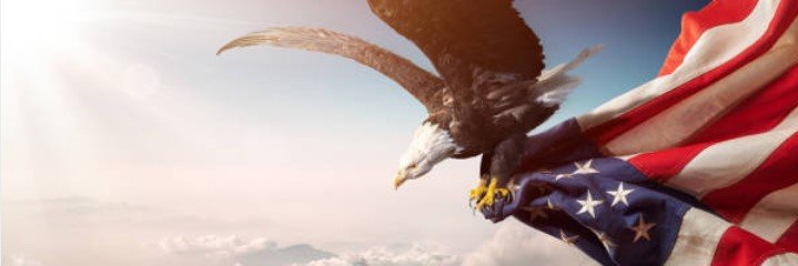 Lexie🌹👉🏻🇺🇸's banner
