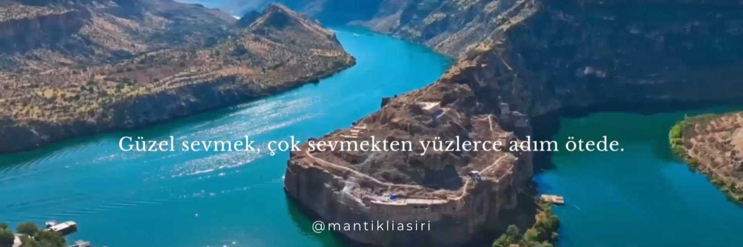 aşırı mantıklı's banner