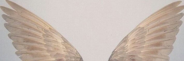 𝓂𝘪𝘢 ִֶָ🪽་༘'s banner