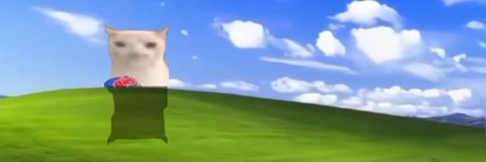 Thermal's banner