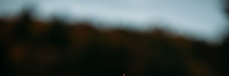 Eren's banner