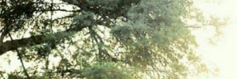 vadina atria's banner