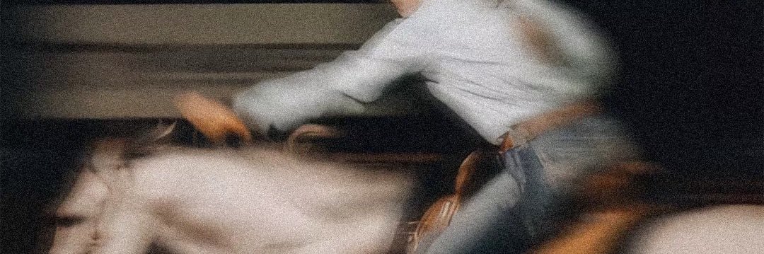 YangChenLsp's banner