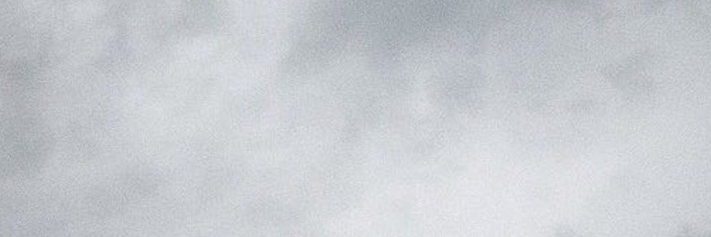 penelope's banner