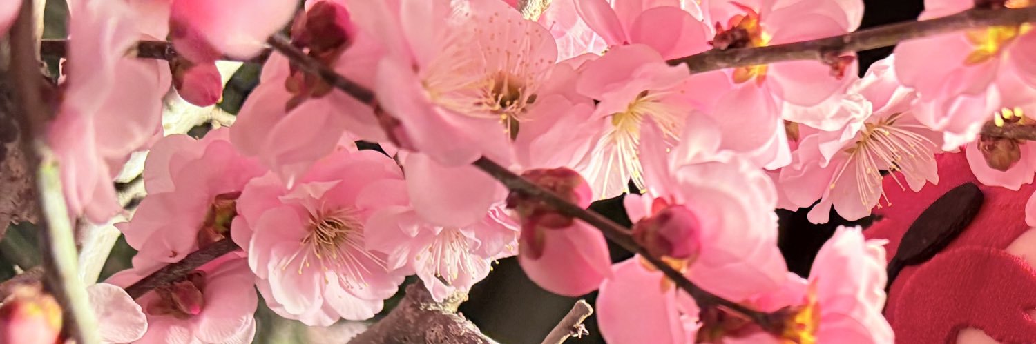 。ᑒ's banner