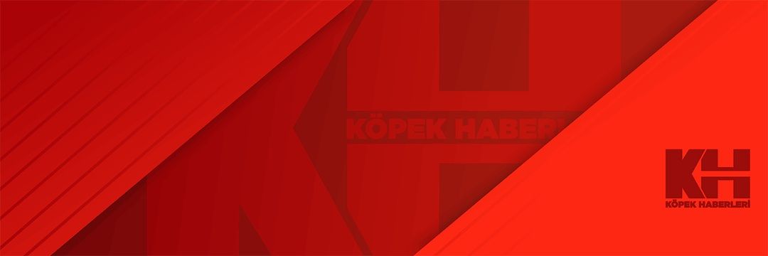 Köpek Haberleri's banner