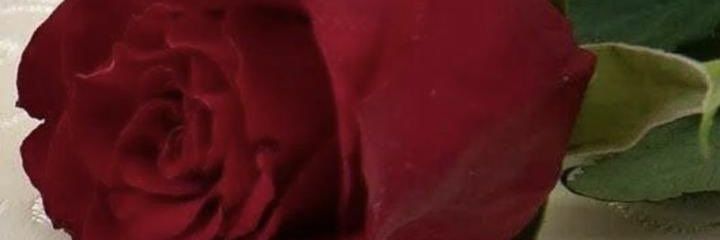 ​ּطـٰاغـيـة اڵـحـسـن ♕'s banner