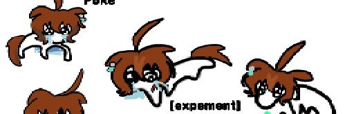 Ags Tacon's banner