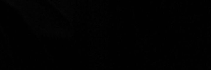harley's banner