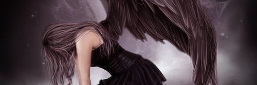 𝕯𝖆𝖓𝖞 🖤's banner