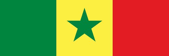 mama africa 🇸🇳🇵🇸's banner