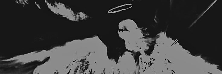 cindy's banner