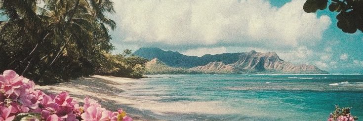 plumie's banner