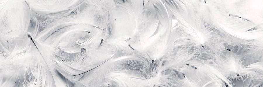 margo's banner