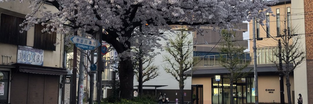 萝莉岛全球官方's banner
