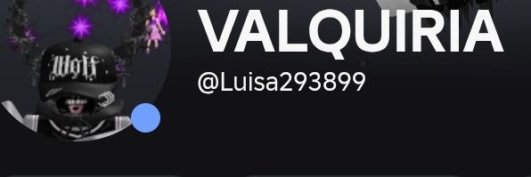 🖤VALQUIRIA 🖤's banner