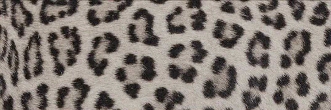 hazel🪽's banner