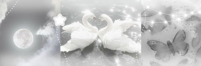 hannah ᥫ᭡'s banner