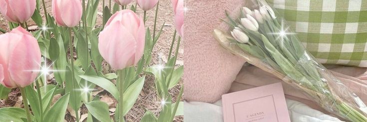 nur syazrina riri 🦋🍉's banner