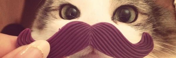 ⋆˚࿔ 𝓝𝓲𝓵𝓪𝓱 𝜗𝜚's banner