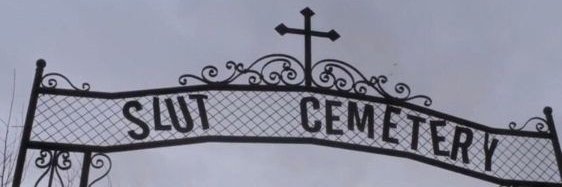 selena's banner