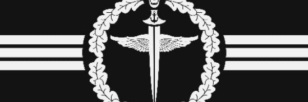 Empyror's banner