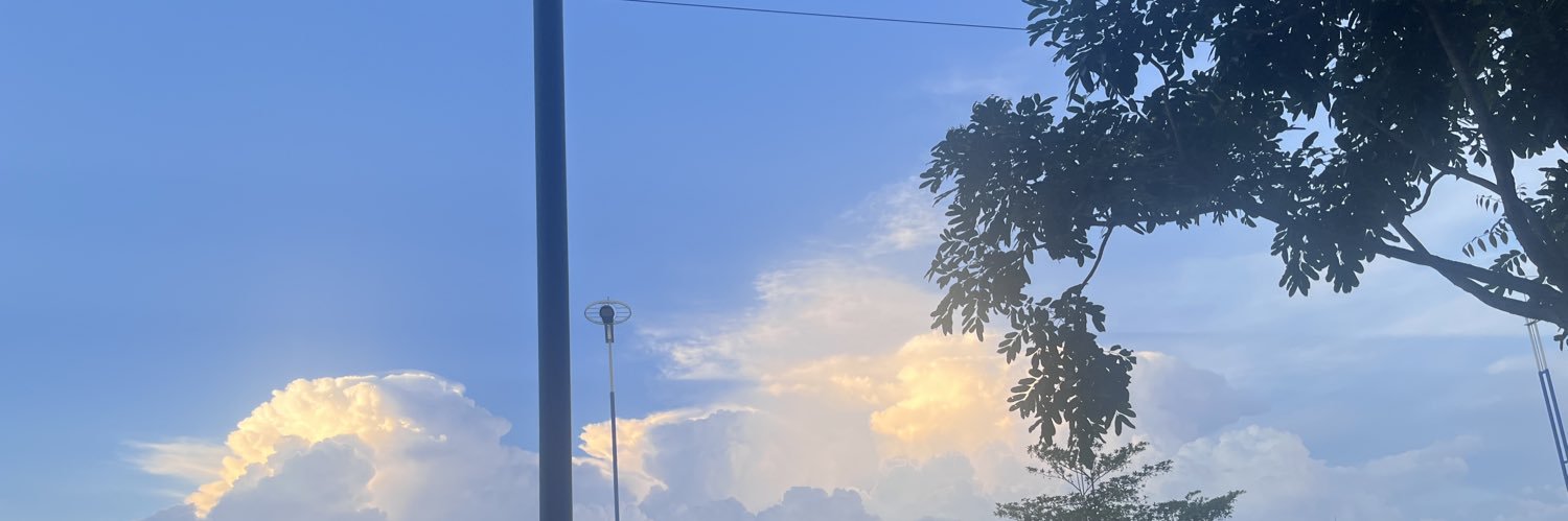 苏洛洛's banner
