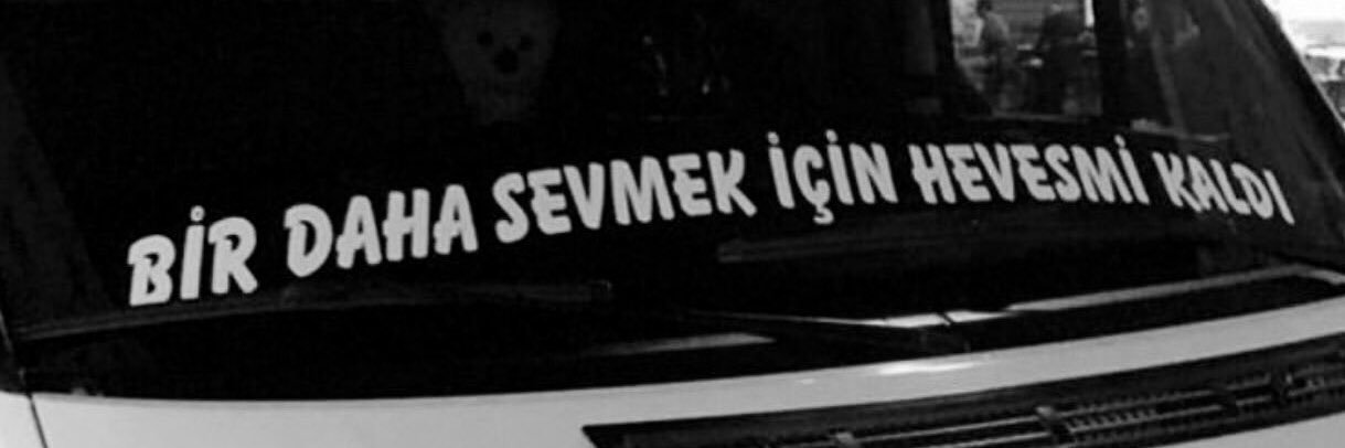 Gallina 🐥's banner