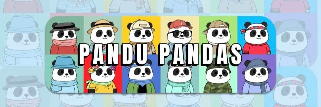 I'm Pandu's banner