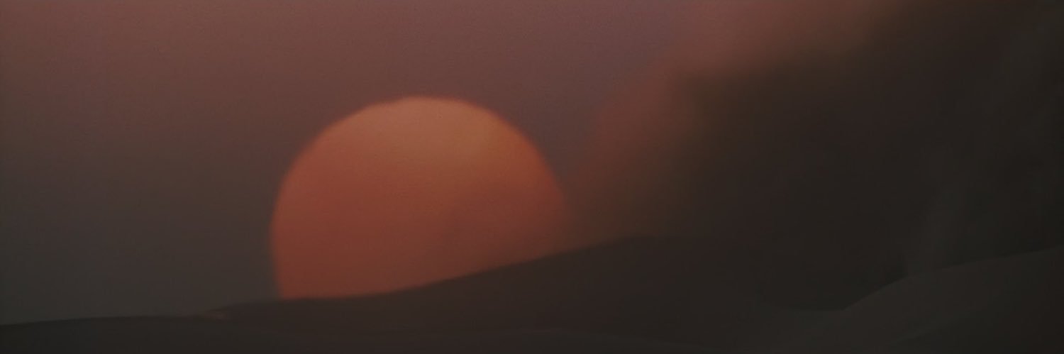 d's banner